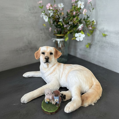 Custom Handmade Wool Felt Realistic Full-body Pet Figurine