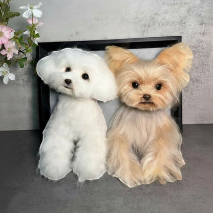 Custom Framed Wool Felt Pet Figurine