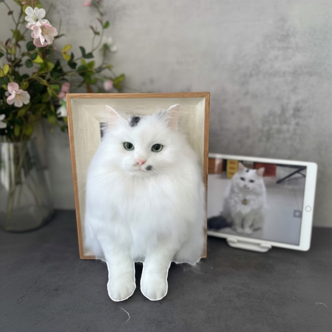 Custom Framed Wool Felt Pet Figurine