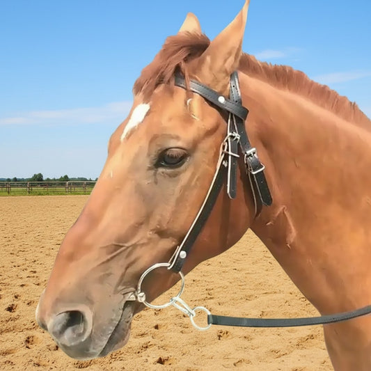 Adjustable Plain Leather Bridle Set with Reins & Bit